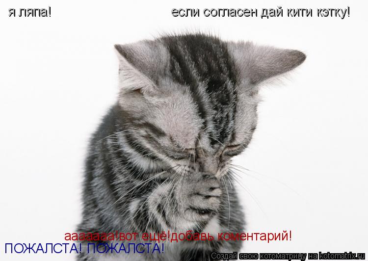 я ляпа! если согласен дай кити кэтку! ааааааа!вот ещё!добавь коментарий! ПОЖАЛСТА! ПОЖАЛСТА!... Котоматрица: я ляпа! если согласен дай кити кэтку! ааааааа!вот ещё!добавь коментарий! ПОЖАЛСТА! ПОЖАЛСТА!