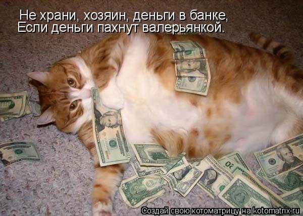 Котоматрица: Не храни, хозяин, деньги в банке, Не храни, хозяин, деньги в банке, Если деньги пахнут валерьянкой. Если деньги пахнут валерьянкой.