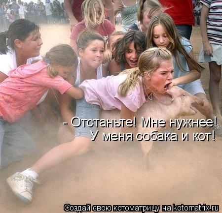 Котоматрица: - Отстаньте! Мне нужнее! У меня собака и кот!