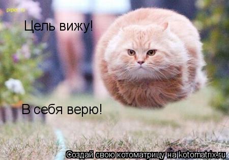 Котоматрица: Цель вижу! В себя верю!