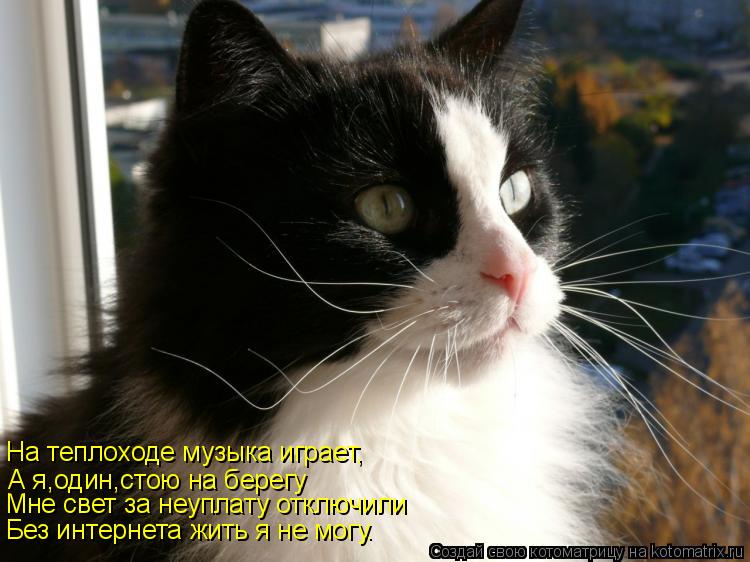 Котоматрица: На теплоходе музыка играет, А я,один,стою на берегу Мне свет за неуплату отключили Без интернета жить я не могу.