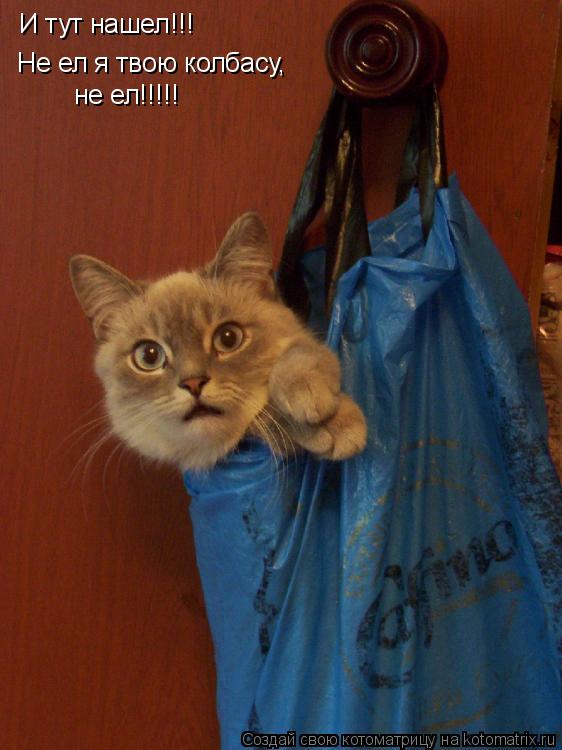 Котоматрица: И тут нашел!!! Не ел я твою колбасу, не ел!!!!!