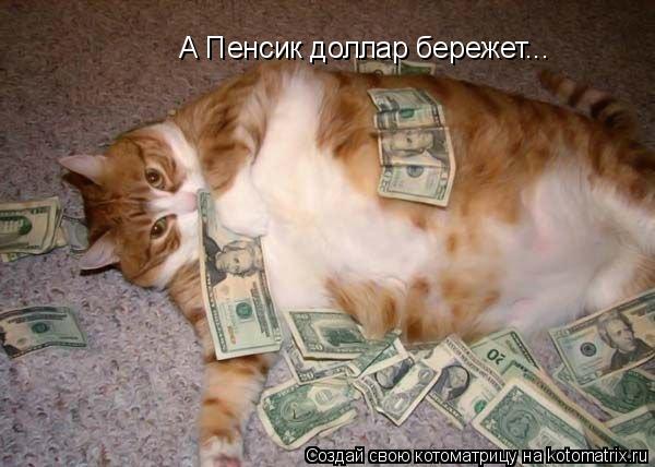 А Пенсик доллар бережет...... Котоматрица: А Пенсик доллар бережет...