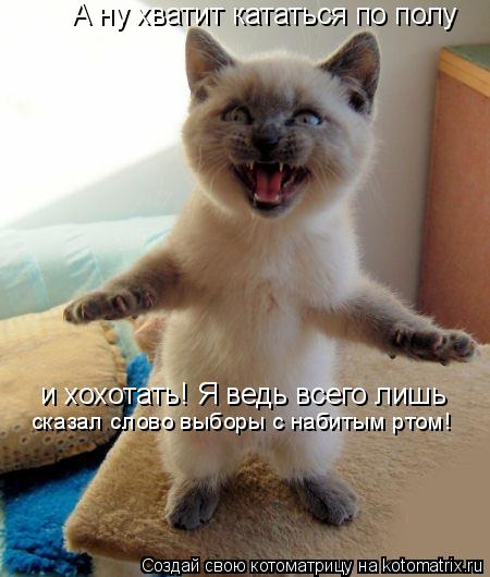 Котоматрица: А ну хватит кататься по полу и хохотать! Я ведь всего лишь сказал слово выборы с набитым ртом!