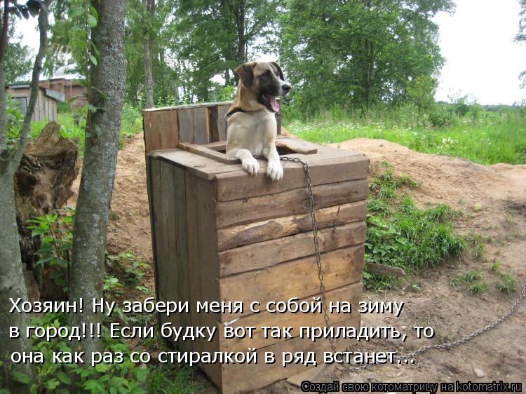Хозяин! Ну забери меня с собой на зиму в город!!! Если будку вот так приладить, то она как раз со сти... Котоматрица: Хозяин! Ну забери меня с собой на зиму в город!!! Если будку вот так приладить, то она как раз со стиралкой в ряд встанет...