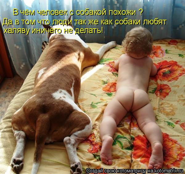 Котоматрица: В чём человек с собакой похожи ? Да в том что люди так же как собаки любят халяву иничего не делать!