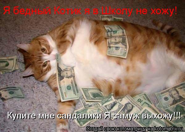 Я бедный Котик я в Школу не хожу! Купите мне сандалики Я замуж выхожу!!!... Котоматрица: Я бедный Котик я в Школу не хожу! Купите мне сандалики Я замуж выхожу!!!