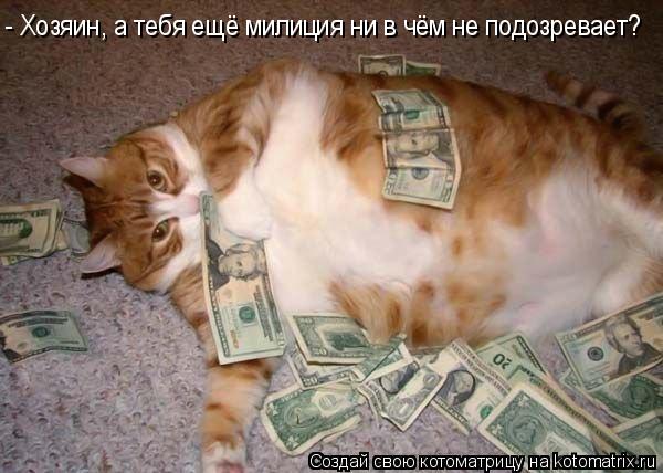 - Хозяин, а тебя ещё милиция ни в чём не подозревает?... Котоматрица: - Хозяин, а тебя ещё милиция ни в чём не подозревает?