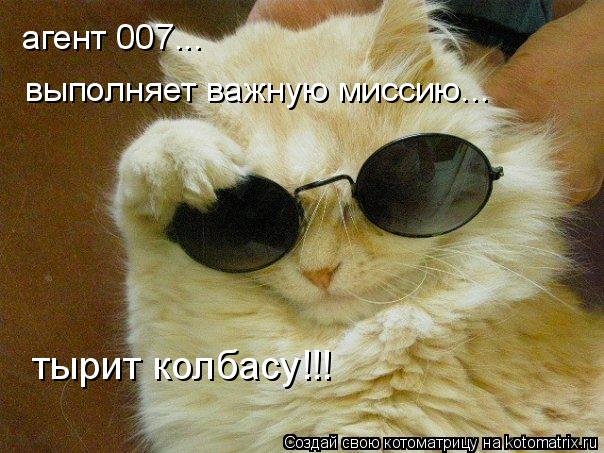 агент 007... выполняет важную миссию... тырит колбасу!!!... Котоматрица: агент 007... выполняет важную миссию... тырит колбасу!!!