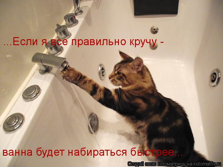 ...Если я все правильно кручу - ванна будет набираться быстрее...... Котоматрица: ...Если я все правильно кручу - ванна будет набираться быстрее...