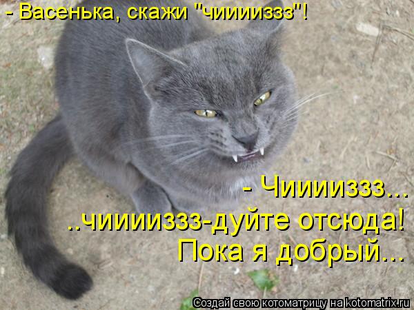 - Васенька, скажи "чииииззз"! - Чииииззз... ..чииииззз-дуйте отсюда! Пока я добрый...... Котоматрица: - Васенька, скажи "чииииззз"! - Чииииззз... ..чииииззз-дуйте отсюда! Пока я добрый...