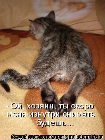 - Ой, хозяин, ты скоро меня изнутри снимать будешь...... Котоматрица: - Ой, хозяин, ты скоро меня изнутри снимать будешь...