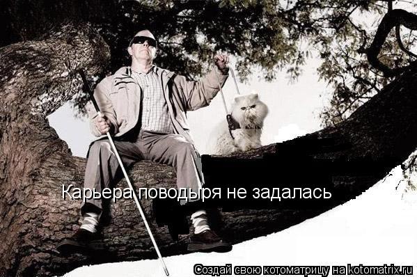 Карьера поводыря не задалась... Котоматрица: Карьера поводыря не задалась