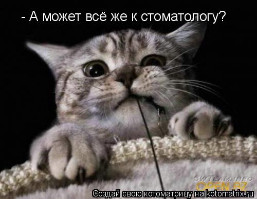 - А может всё же к стоматологу?... Котоматрица: - А может всё же к стоматологу?