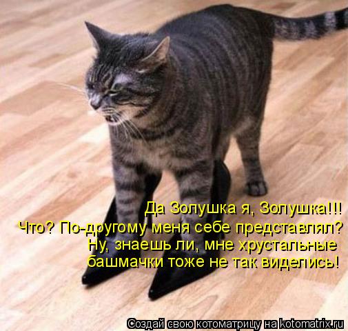 Да Золушка я, Золушка!!! Что? По-другому меня себе представлял? Ну, знаешь ли, мне хрустальные башма... Котоматрица: Да Золушка я, Золушка!!! Что? По-другому меня себе представлял? Ну, знаешь ли, мне хрустальные башмачки тоже не так виделись!