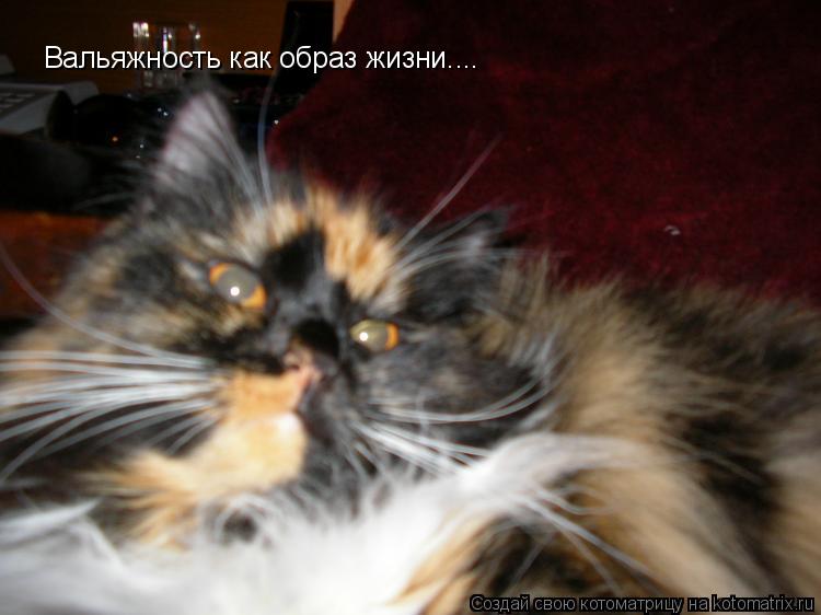 Вальяжность как образ жизни....... Котоматрица: Вальяжность как образ жизни....