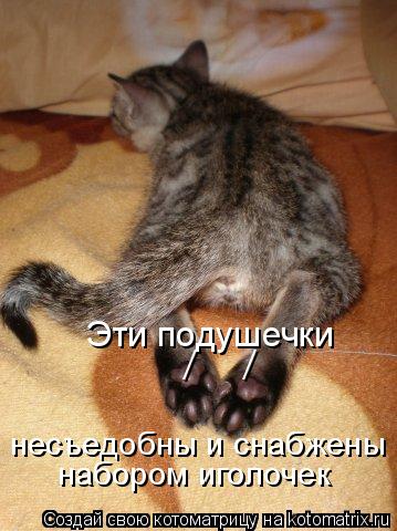 Эти подушечки несъедобны и снабжены набором иголочек / /... Котоматрица: Эти подушечки несъедобны и снабжены набором иголочек / /