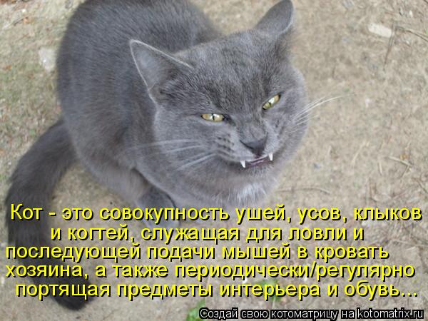 Кот - это совокупность ушей, усов, клыков и когтей, служащая для ловли и последующей подачи мышей в к... Котоматрица: Кот - это совокупность ушей, усов, клыков и когтей, служащая для ловли и последующей подачи мышей в кровать хозяина, а также периодически/рег