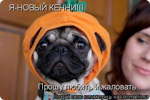 Я-НОВЫЙ КЕННИ!!! Прошу любить и жаловать...... Котоматрица: Я-НОВЫЙ КЕННИ!!! Прошу любить и жаловать...