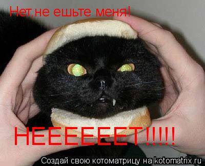 Котоматрица: Нет,не ешьте меня! НЕЕЕЕЕЕТ!!!!!