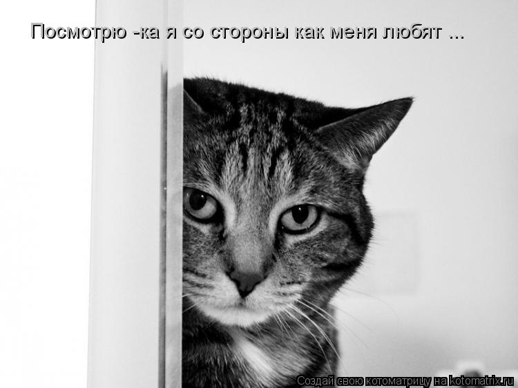 Котоматрица: Посмотрю -ка я со стороны как меня любят ...
