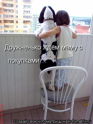 Котоматрица: Дружненько ждём маму с  покупками ...
