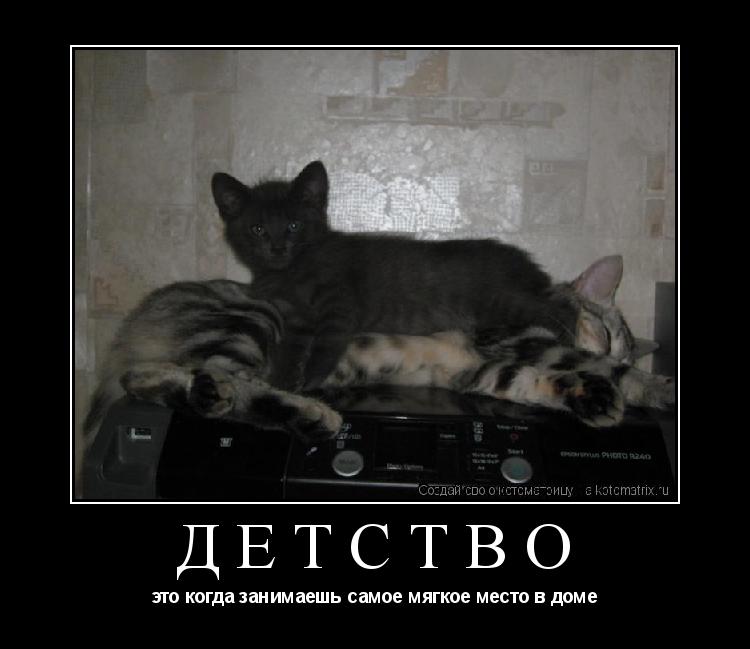 Котоматрица: детство это когда занимаешь самое мягкое место в доме