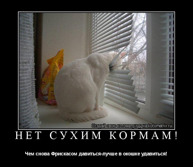 Котоматрица: Нет сухим кормам! Чем снова Фрискасом давиться-лучше в окошке удавиться!