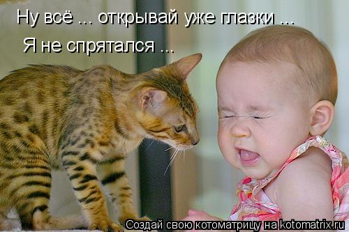 Котоматрица: Ну всё ... открывай уже глазки ... Я не спрятался ...