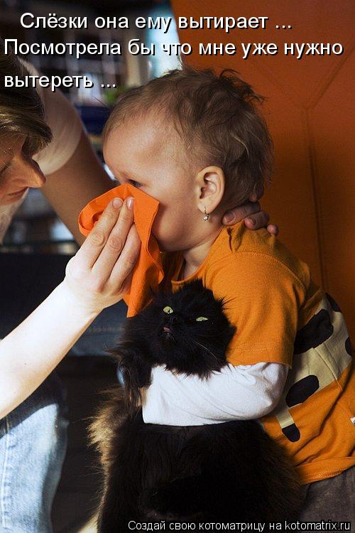 Котоматрица: Слёзки она ему вытирает ... вытереть ... Посмотрела бы что мне уже нужно