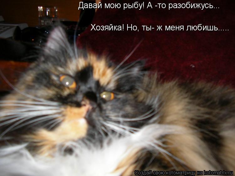 Котоматрица: Давай мою рыбу! А -то разобижусь... Хозяйка! Но, ты- ж меня любишь.....
