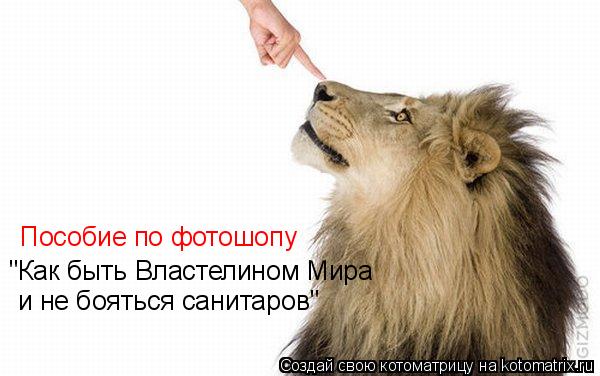 Котоматрица: "Как быть Властелином Мира  и не бояться санитаров" Пособие по фотошопу