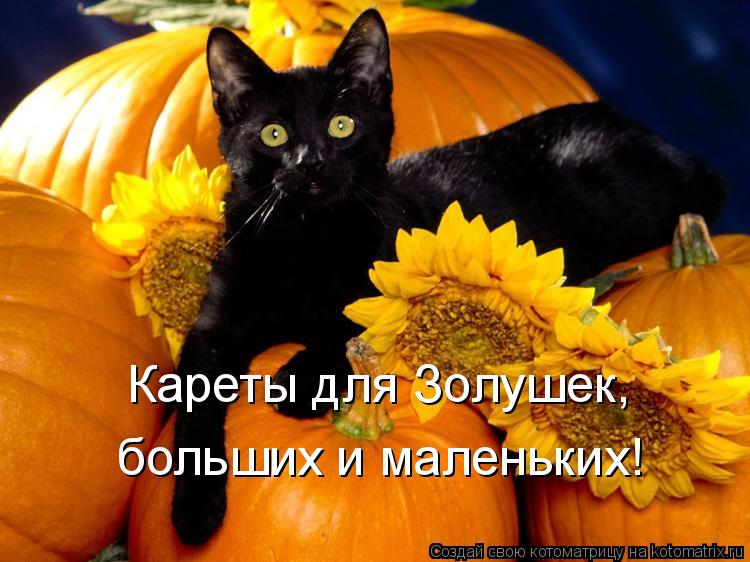 Котоматрица: Кареты для Золушек,  больших и маленьких!