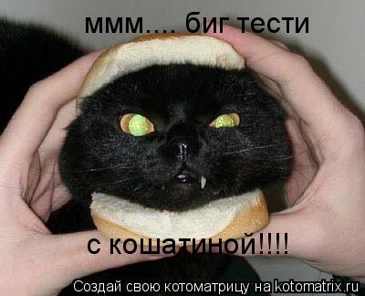 ммм.... биг тести с кошатиной!!!!... Котоматрица: ммм.... биг тести с кошатиной!!!!