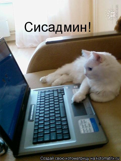 Сисадмин!... Котоматрица: Сисадмин!