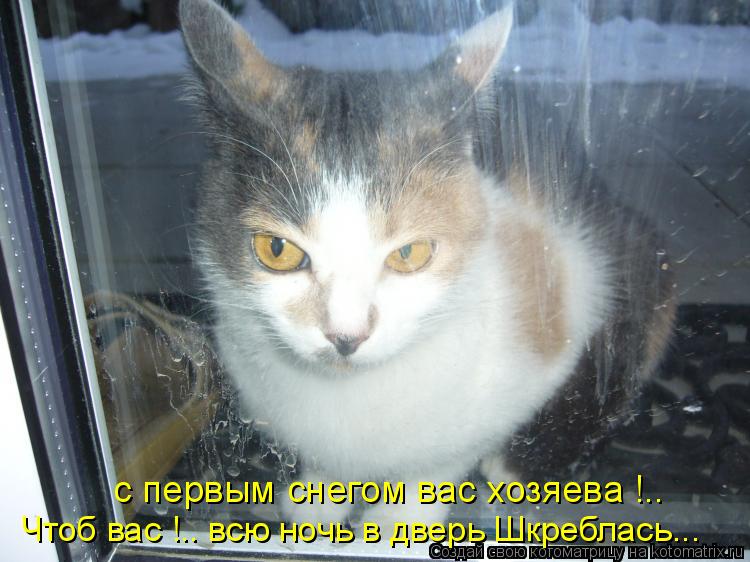 с первым снегом вас хозяева !.. Чтоб вас !.. всю ночь в дверь Шкреблась...... Котоматрица: с первым снегом вас хозяева !.. Чтоб вас !.. всю ночь в дверь Шкреблась...