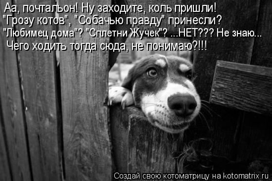 Котоматрица: Аа, почтальон! Ну заходите, коль пришли! "Грозу котов", "Собачью правду" принесли? "Любимец дома"? "Сплетни Жучек"? ...НЕТ??? Не знаю... Чего ходить т