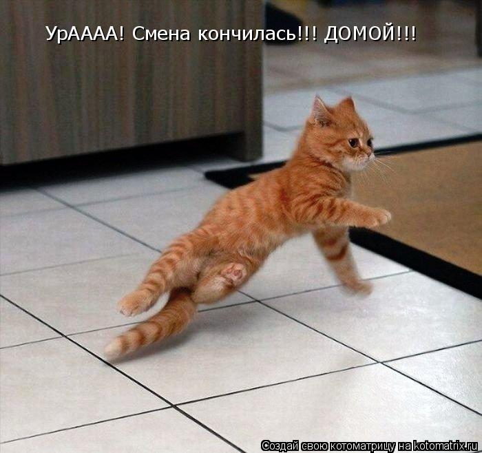 УрАААА! Смена кончилась!!! ДОМОЙ!!!... Котоматрица: УрАААА! Смена кончилась!!! ДОМОЙ!!!