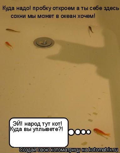 ЭЙ! народ тут кот! Куда вы уплывете?! Куда надо! пробку откроем а ты себе здесь сохни мы может в оке... Котоматрица: ЭЙ! народ тут кот! Куда вы уплывете?! Куда надо! пробку откроем а ты себе здесь сохни мы может в океан хочем!