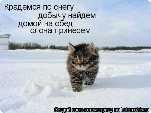 Крадемся по снегу добычу найдем домой на обед слона принесем... Котоматрица: Крадемся по снегу добычу найдем домой на обед слона принесем