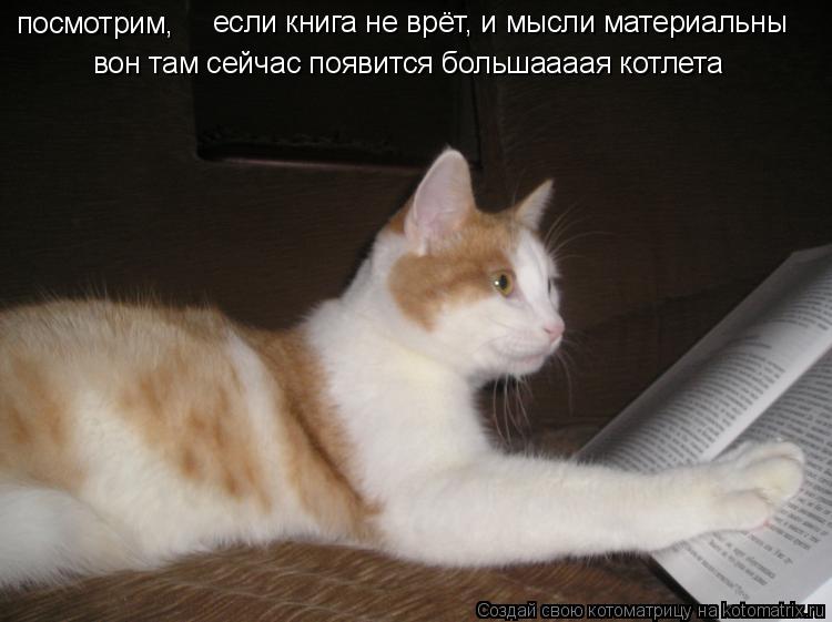 посмотрим, если книга не врёт, и мысли материальны вон там сейчас появится большаааая котлета... Котоматрица: посмотрим, если книга не врёт, и мысли материальны вон там сейчас появится большаааая котлета