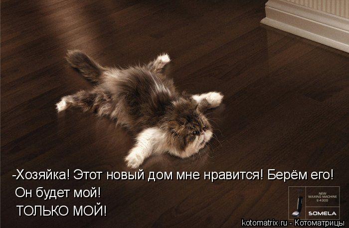 Котоматрица: -Хозяйка! Этот новый дом мне нравится! Берём его! Он будет мой! ТОЛЬКО МОЙ!