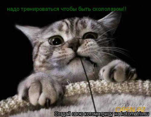 надо тренироваться чтобы быть скололазом!!... Котоматрица: надо тренироваться чтобы быть скололазом!!