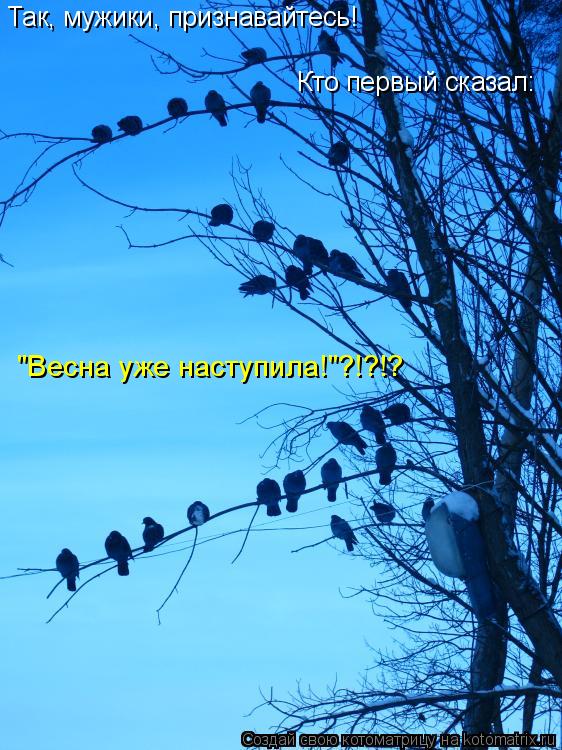 Котоматрица: Так, мужики, признавайтесь! Кто первый сказал: "Весна уже наступила!"?!?!?