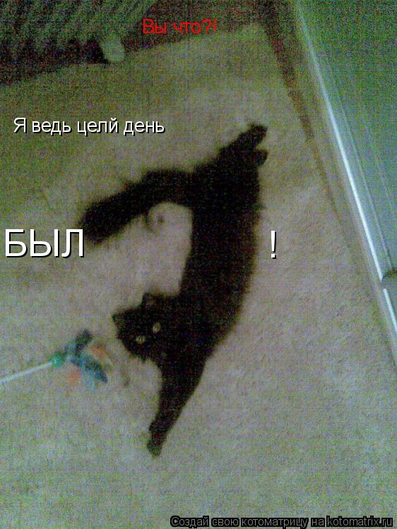 Вы что?! Я ведь целй день БЫЛ !... Котоматрица: Вы что?! Я ведь целй день БЫЛ !
