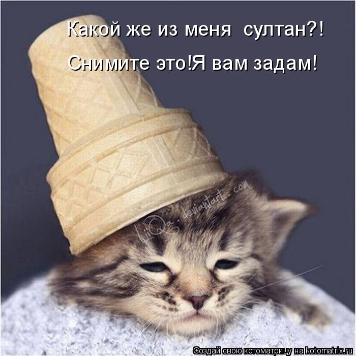 Какой же из меня султан?! Снимите это!Я вам задам!... Котоматрица: Какой же из меня султан?! Снимите это!Я вам задам!