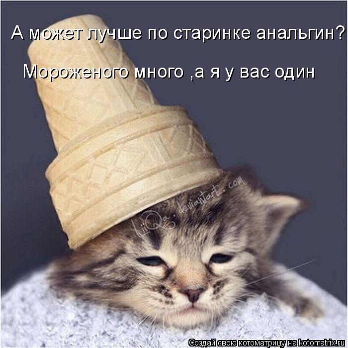 А может лучше по старинке анальгин? Мороженого много ,а я у вас один... Котоматрица: А может лучше по старинке анальгин? Мороженого много ,а я у вас один