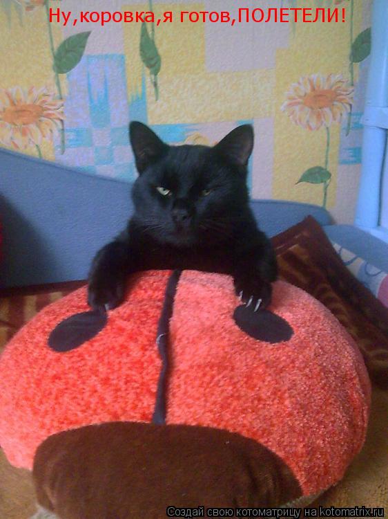 Ну,коровка,я готов,ПОЛЕТЕЛИ!... Котоматрица: Ну,коровка,я готов,ПОЛЕТЕЛИ!