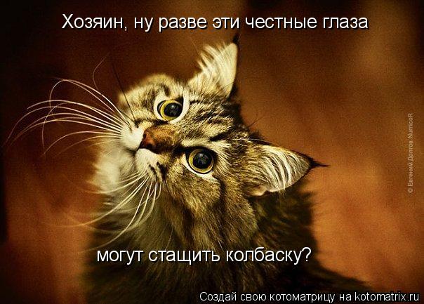 Хозяин, ну разве эти честные глаза могут стащить колбаску?... Котоматрица: Хозяин, ну разве эти честные глаза могут стащить колбаску?