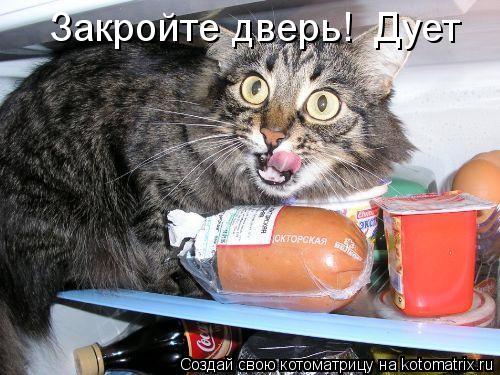 Закройте дверь! Дует... Котоматрица: Закройте дверь! Дует
